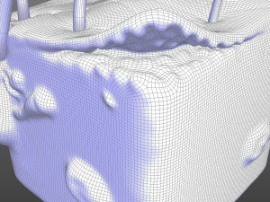 Skin Anatomy 3D Model