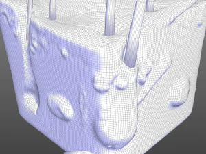 Skin Anatomy 3D Model