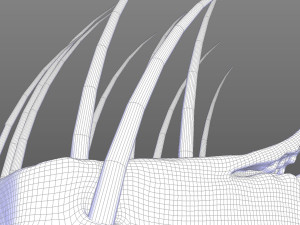 Skin Anatomy 3D 模型