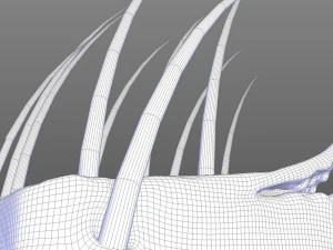 Skin Anatomy 3D Model