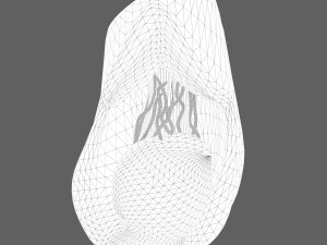 Testicle Anatomy Modelo 3D