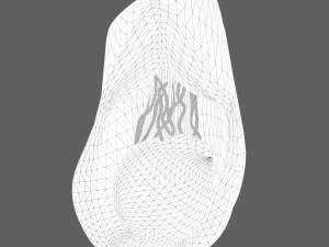 Testicle Anatomy 3D Model
