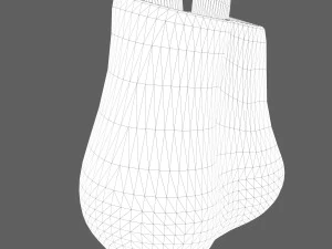 Testicle Anatomy 3D Model