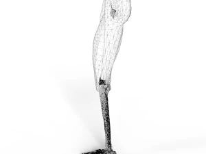 Muscoli della coscia Modello 3D