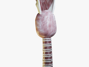 Human Throat Anatomy 3D Model