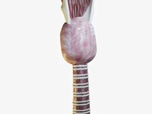 Human Throat Anatomy 3D Model