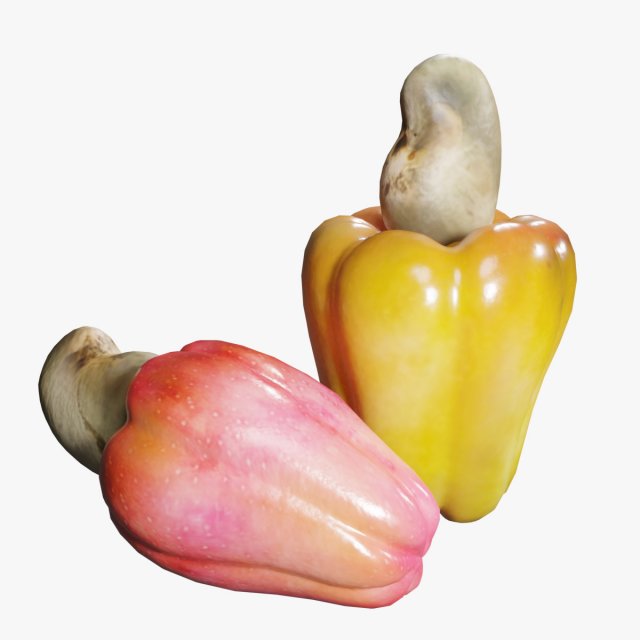 Cashew Model 3D .c4d .max .obj .3ds .fbx .stl .blend 