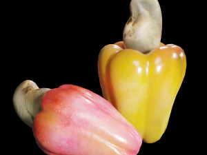 Cashew 3D Model