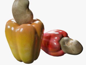 Cashew 3D Model
