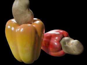 Cashew 3D Model