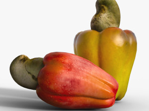 Cashew Model 3D
