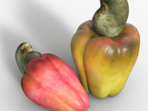 Cashew Model 3D