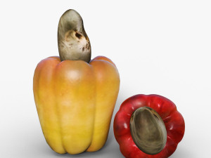 Cashew Model 3D
