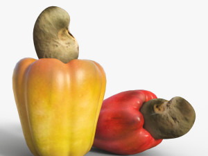 Cashew Model 3D