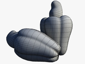 Cashew Model 3D