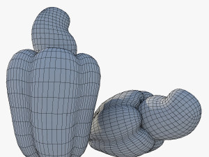 Cashew Model 3D