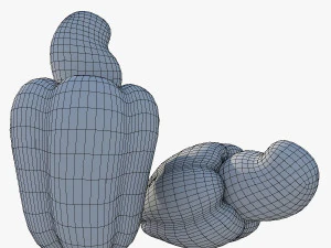 Cashew 3D Model
