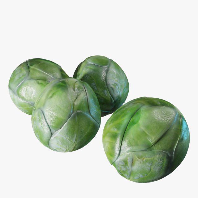 Brussel Sprouts 3D Model .c4d .max .obj .3ds .fbx .stl .blend 
