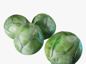 Kubis Brussel Model 3D