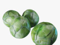 Brussel Sprouts 3D Models