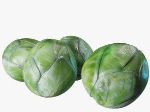 Brussel Sprouts 3D Model