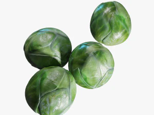 coles de bruselas Modelo 3D