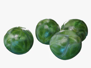 coles de bruselas Modelo 3D