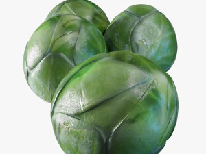 coles de bruselas Modelo 3D