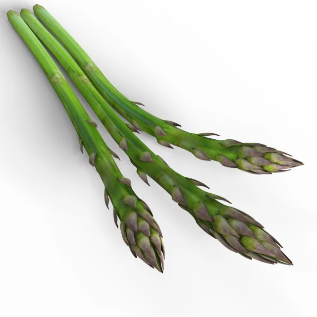 Asparago Modello 3D .c4d .max .obj .3ds .fbx .stl .blend 