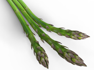 Asparagus 3D Model