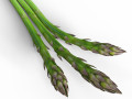 Asparagus 3D Models