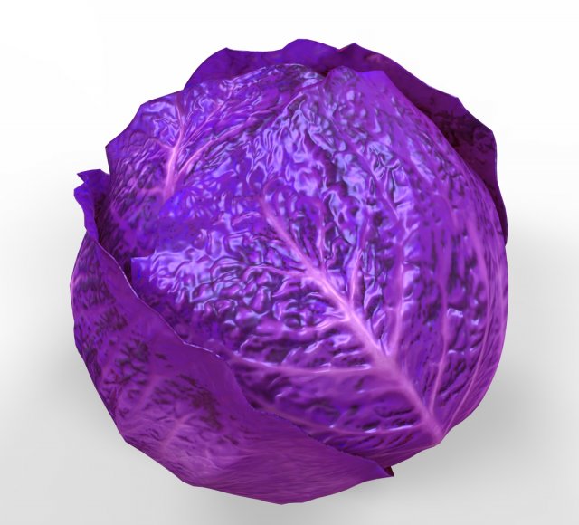 Purple Cabbage 3D Model .c4d .max .obj .3ds .fbx .stl .blend 