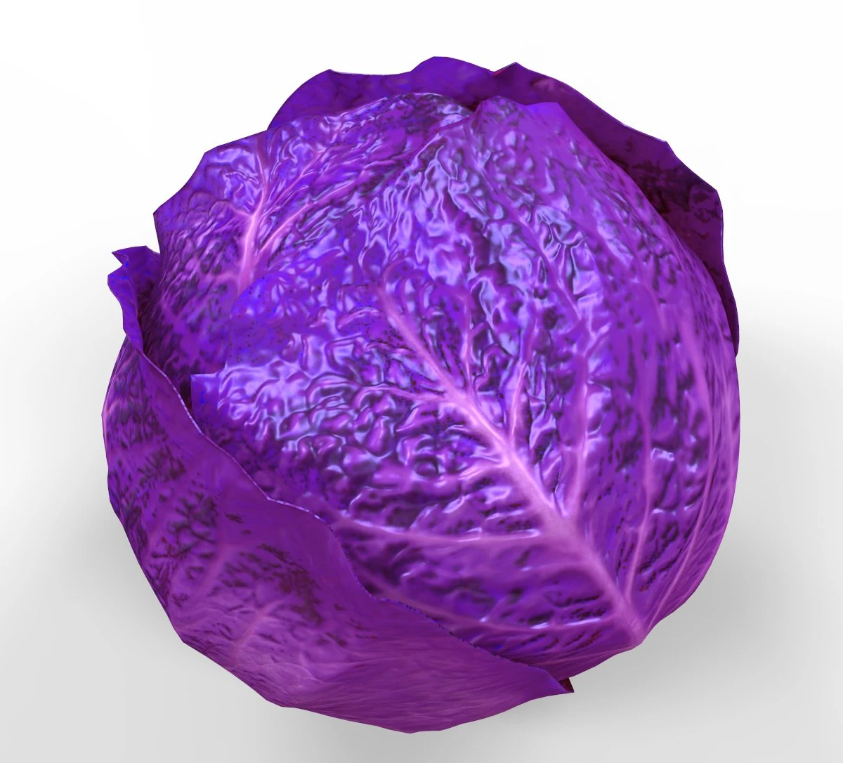 Purple Cabbage 3D Model .c4d .max .obj .3ds .fbx .stl .blend 