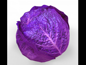Purple Cabbage 3D Models