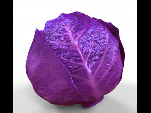Purple Cabbage 3D Model