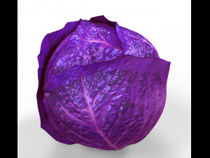 Purple Cabbage 3D Model