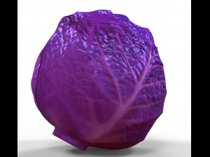 Purple Cabbage 3D Model