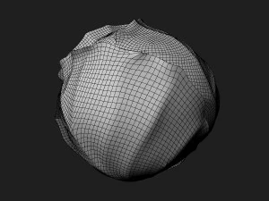Purple Cabbage 3D Model