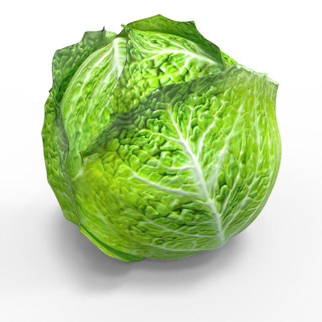 Green Cabbage 3D Model .c4d .max .obj .3ds .fbx .stl .blend 