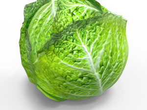 Green Cabbage 3D Model