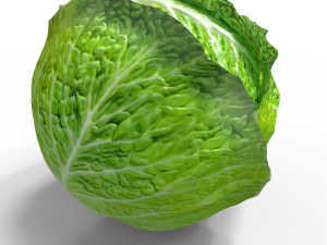 Green Cabbage 3D Model