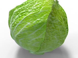 Green Cabbage 3D Model