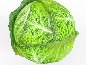 Green Cabbage 3D Model