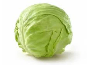 Groene Kool 3D Model