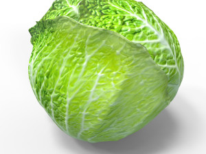 Green Cabbage 3D Model