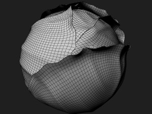 Green Cabbage 3D Model