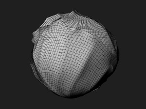 Green Cabbage 3D Model