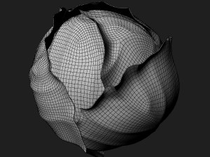 Green Cabbage 3D Model