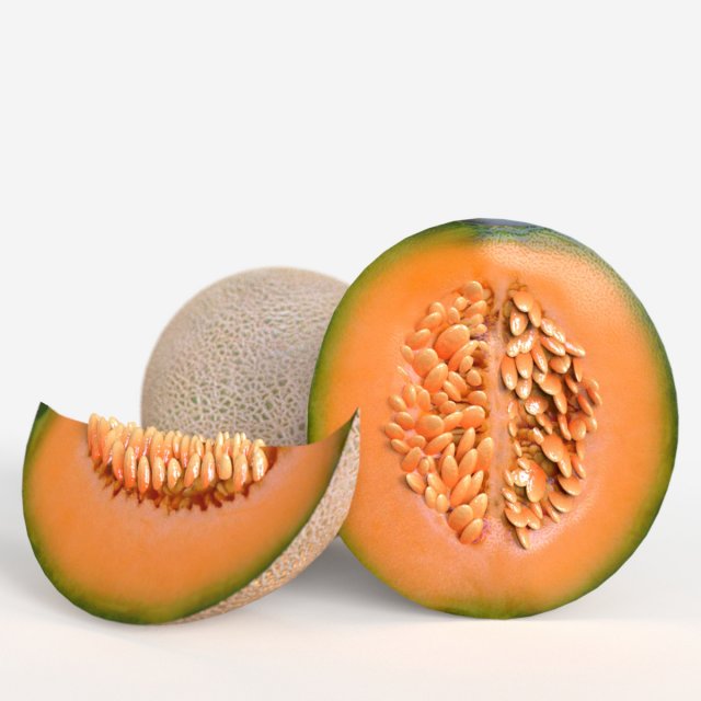 Cantalope 3D-Modell .c4d .max .obj .3ds .fbx .stl .blend 
