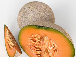 Cantalope 3D-Modell